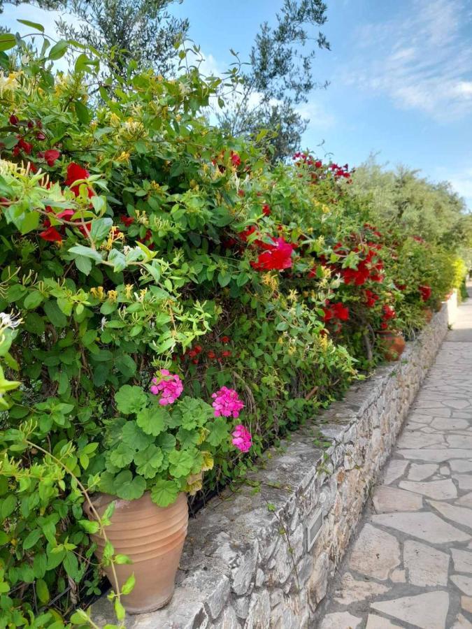 Aphrodite Apartahotel